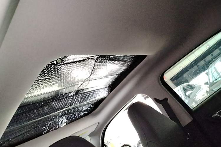Used Leapmotor T03 2021 400 Luxury Edition Headliner
