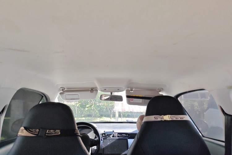 Used Leapmotor T03 2021 400 Lite Edition Lithium Iron Phosphate Headliner