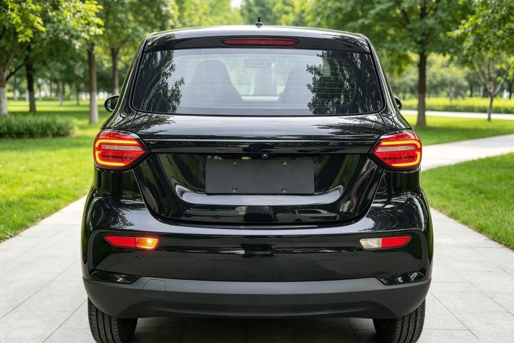 Used Leapmotor T03 2021 400 Comfort Edition Rear