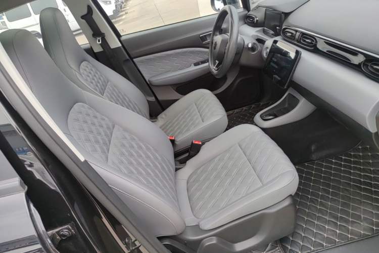 Used Leapmotor T03 2021 400 Luxury Edition Right Front Seat