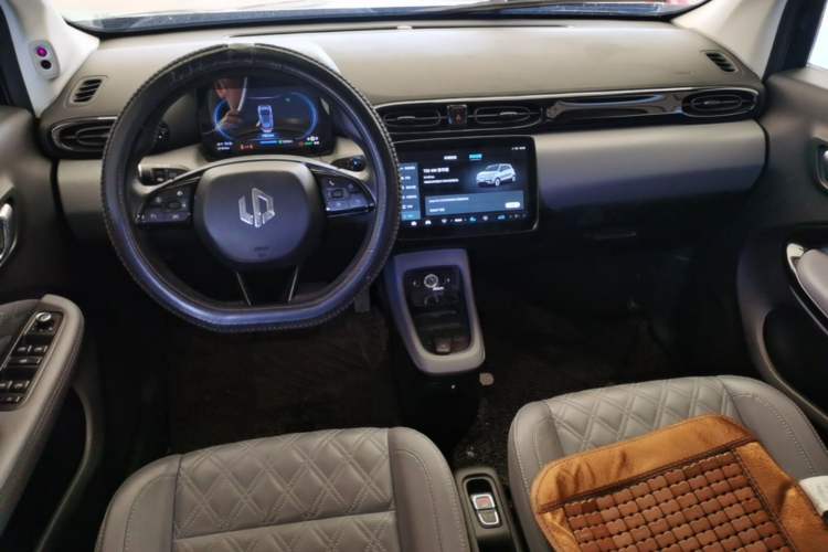 Used Leapmotor T03 2021 400 Luxury Edition Center Console