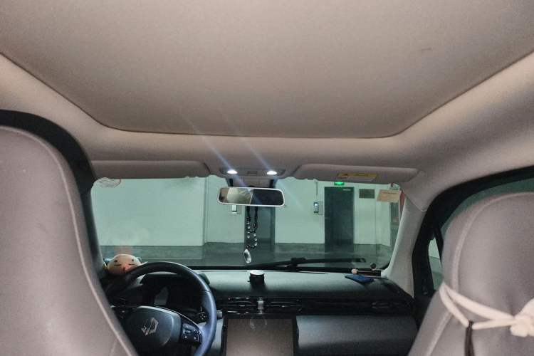Used Leapmotor T03 2021 400 Luxury Edition Headliner
