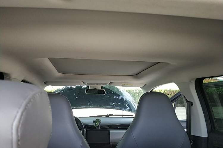 Used Leapmotor T03 2021 400 Luxury Edition Headliner
