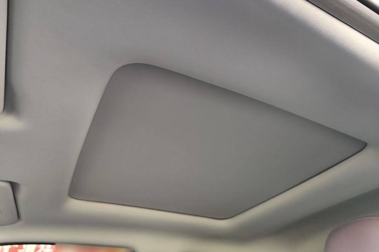 Used Leapmotor T03 2021 400 Luxury Edition Headliner