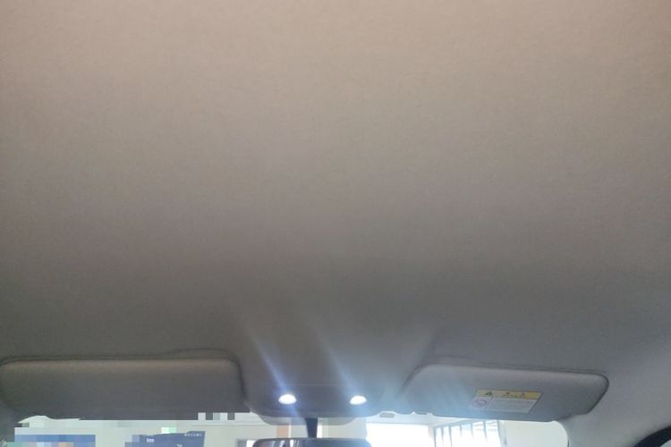 Used Leapmotor T03 2021 400 Lite Edition - Lithium-Ion Battery Headliner
