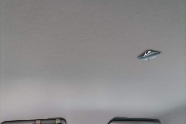 Used Leapmotor T03 2021 400 Comfort Edition Headliner