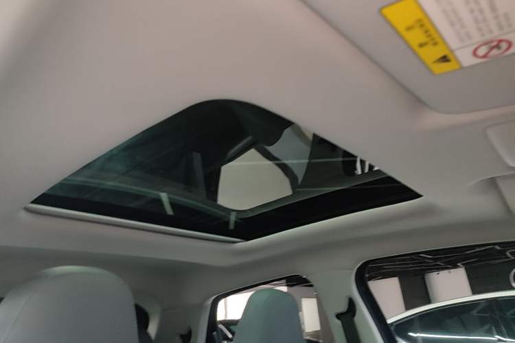 Used Leapmotor T03 2021 400 Luxury Edition Headliner