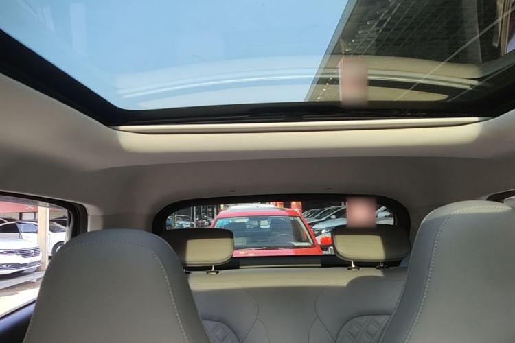 Used Leapmotor T03 2021 400 Luxury Edition Headliner