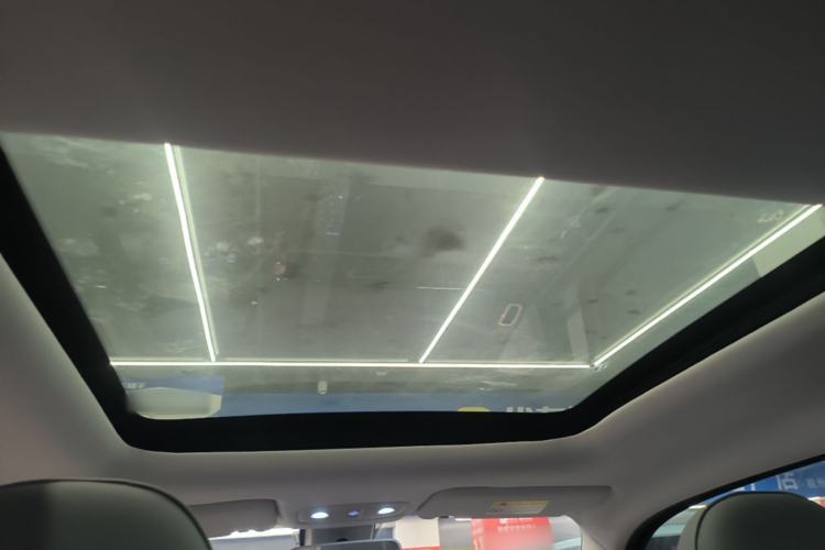 Used Leapmotor T03 2021 400 Luxury Edition Headliner