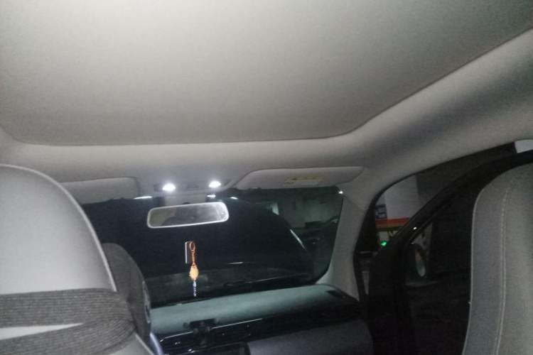 Used Leapmotor T03 2021 400 Luxury Edition Headliner