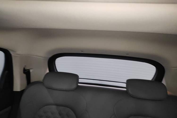 Used Leapmotor T03 2021 400 Luxury Edition Headliner