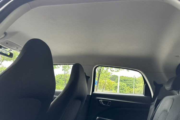 Used Leapmotor T03 2021 400 Lite Edition Lithium Iron Phosphate Headliner