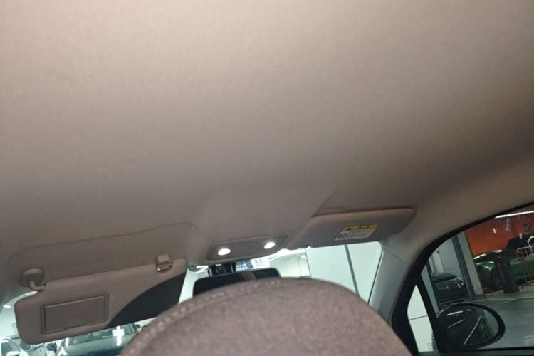 Used Leapmotor T03 2021 400 Micro-Sugar Version Headliner