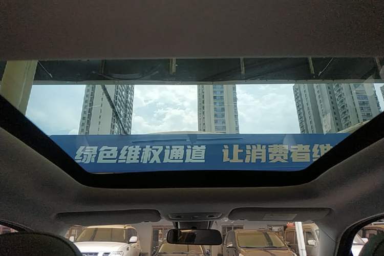 Used Leapmotor T03 2021 400 Luxury Edition Headliner