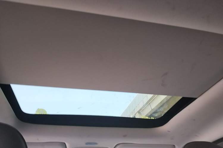 Used Leapmotor T03 2021 400 Luxury Edition Headliner