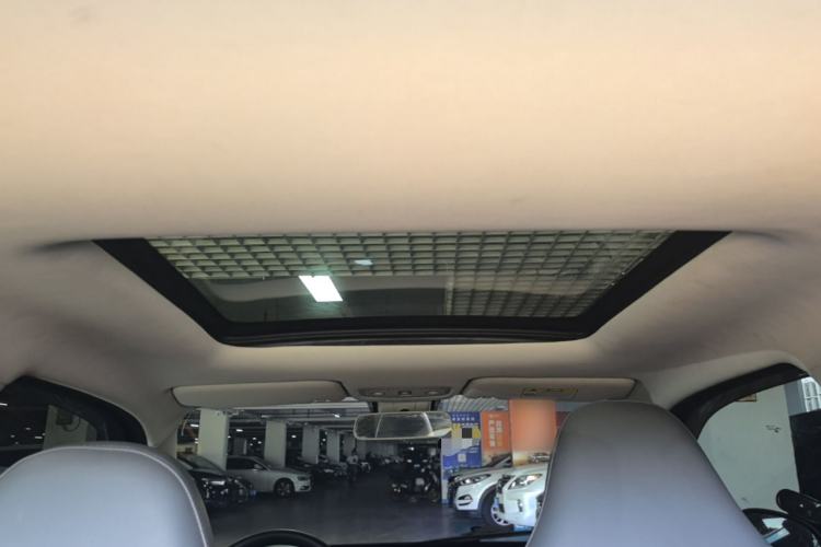 Used Leapmotor T03 2021 400 Luxury Edition Headliner