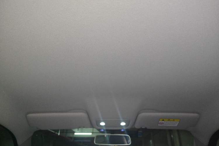 Used Leapmotor T03 2021 400 Lite Edition - Lithium-Ion Battery Headliner