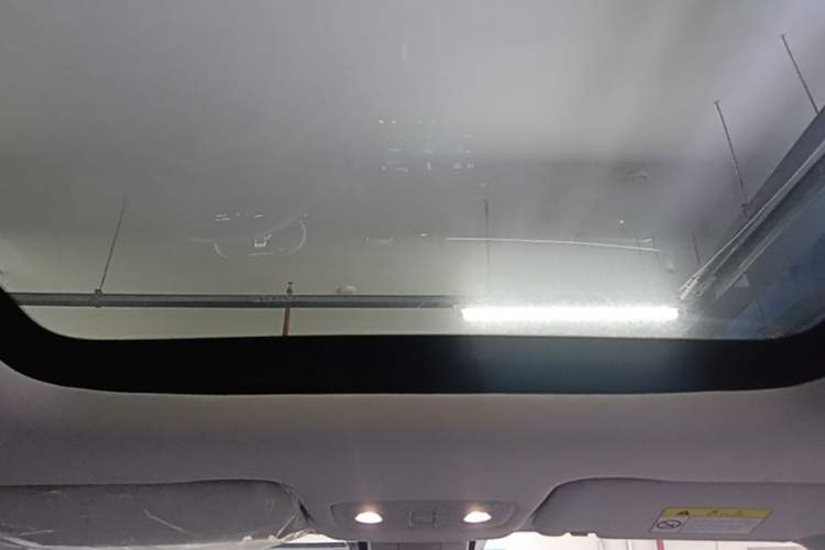Used Leapmotor T03 2021 400 Luxury Edition Headliner