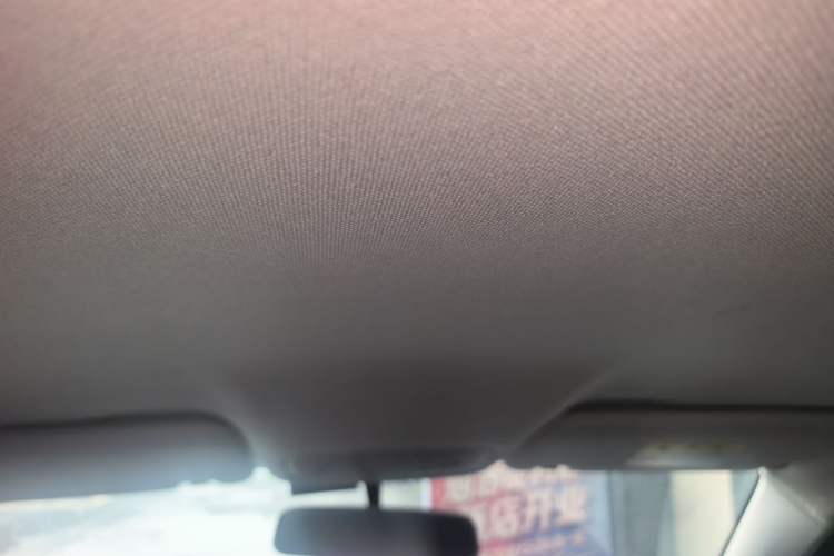 Used Leapmotor T03 2021 400 Micro-Sugar Version Headliner