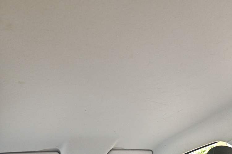 Used Leapmotor T03 2021 400 Lite Edition - Lithium-Ion Battery Headliner