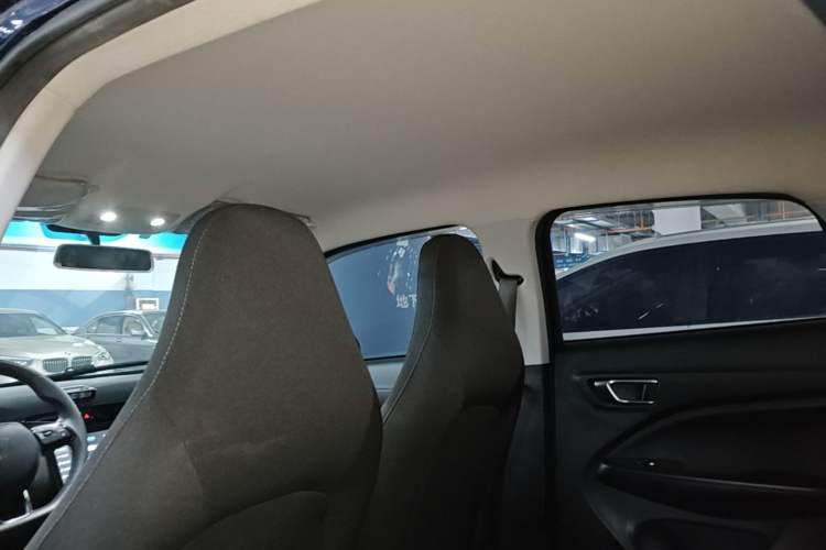 Used Leapmotor T03 2021 400 Lite Edition Lithium Iron Phosphate Headliner