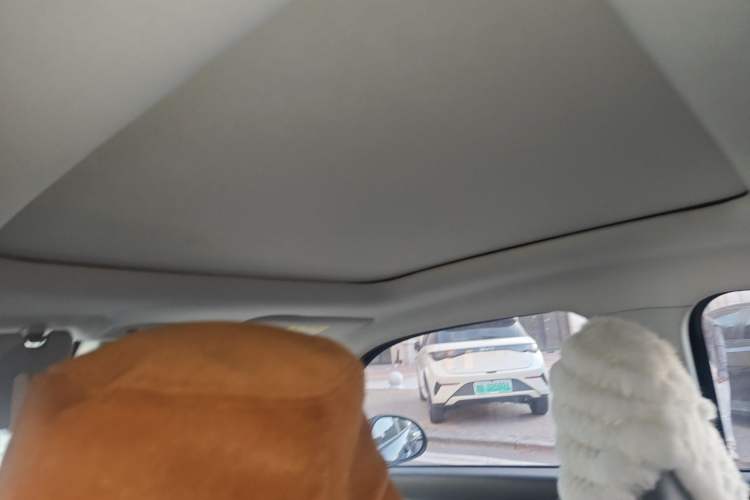 Used Leapmotor T03 2021 400 Luxury Edition Headliner