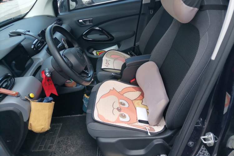 Used Leapmotor T03 2021 400 Comfort Edition Left Front Seat