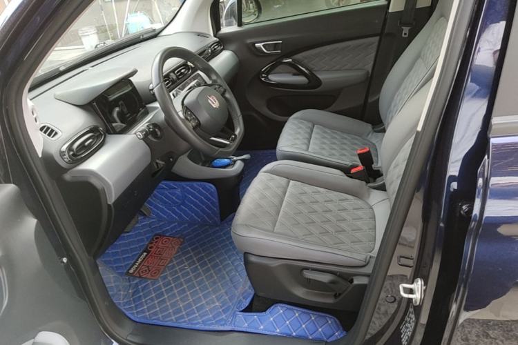 Used Leapmotor T03 2021 400 Luxury Edition Left Front Seat