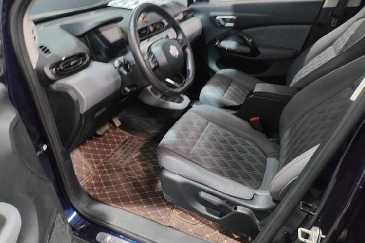 Used Leapmotor T03 2021 400 Luxury Edition Left Front Seat