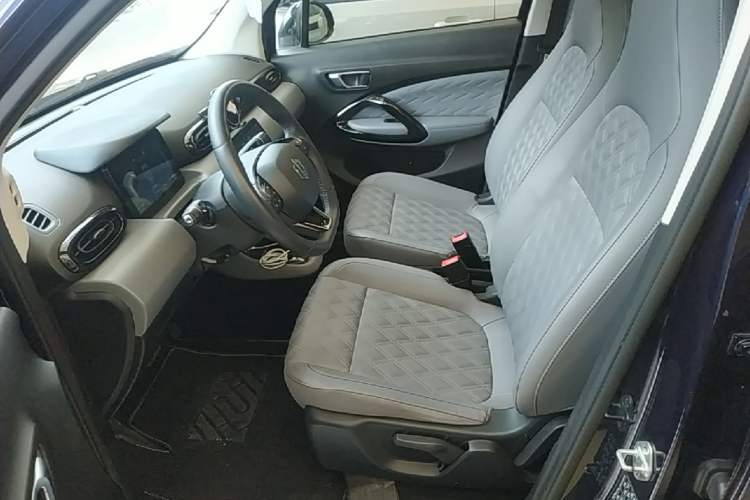Used Leapmotor T03 2021 400 Luxury Edition Left Front Seat