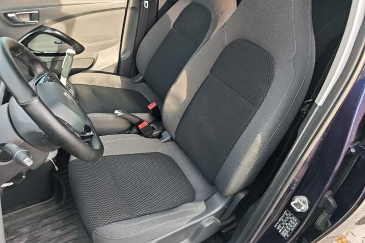 Used Leapmotor T03 2021 400 Comfort Edition Left Front Seat