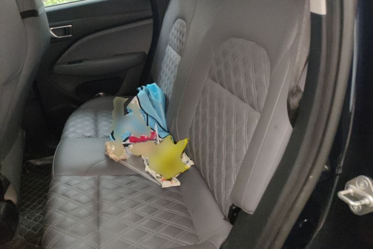 Used Leapmotor T03 2021 400 Comfort Edition Left Rear Seat