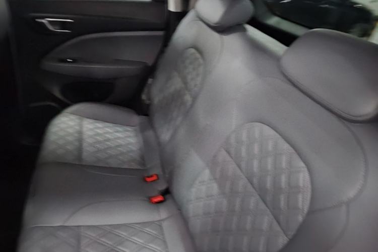 Used Leapmotor T03 2021 400 Luxury Pro Edition Left Rear Seat
