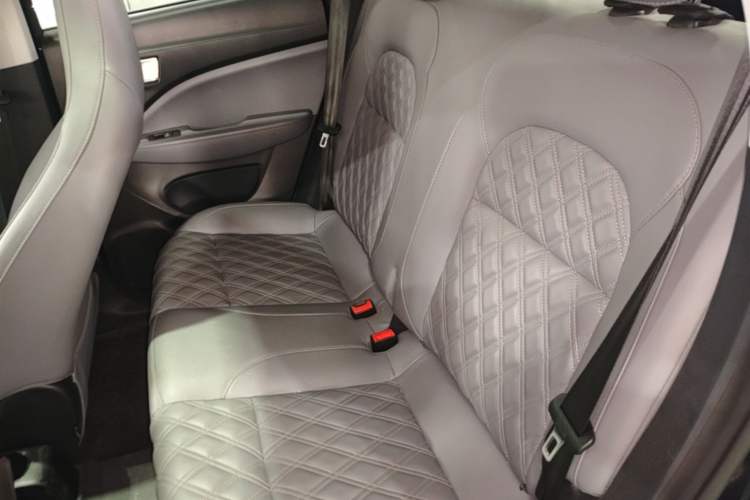 Used Leapmotor T03 2021 400 Comfort Edition Left Rear Seat