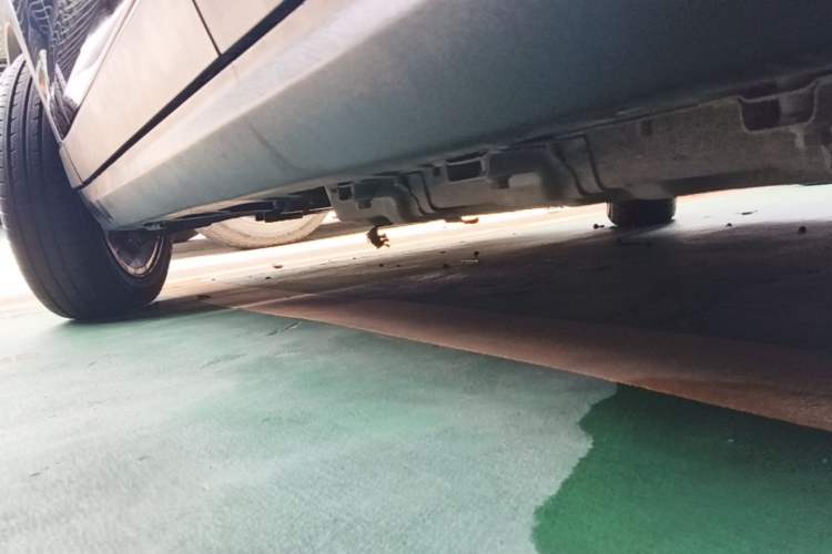 Used Leapmotor T03 2021 400 Lite Edition Lithium Iron Phosphate Left Side Sill