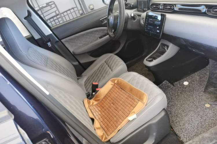 Used Leapmotor T03 2021 400 Luxury Edition Right Front Seat