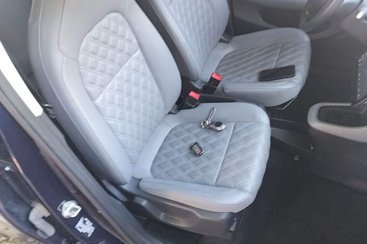 Used Leapmotor T03 2021 400 Luxury Edition Right Front Seat