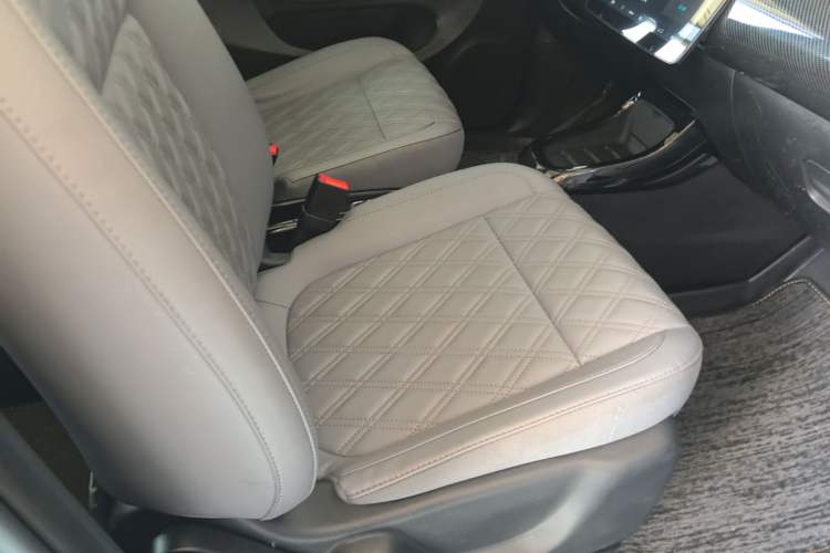 Used Leapmotor T03 2021 400 Luxury Edition Right Front Seat