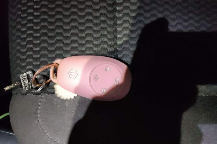 Used Leapmotor T03 2021 400 Lite Edition - Lithium-Ion Battery Vehicle Key
