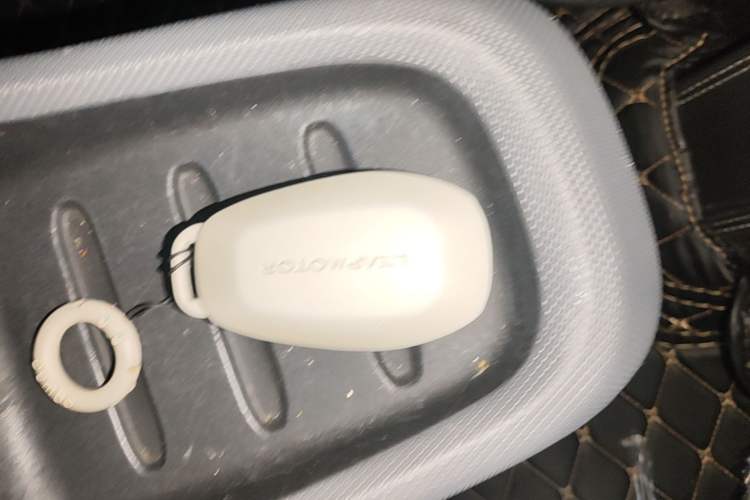 Used Leapmotor T03 2021 400 Lite Edition - Lithium-Ion Battery Vehicle Key