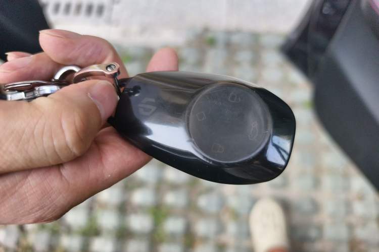 Used Leapmotor T03 2021 400 Lite Edition - Lithium-Ion Battery Vehicle Key