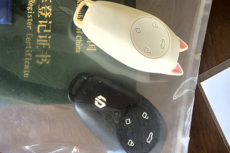 Used Leapmotor T03 2021 400 Luxury Edition Vehicle Key