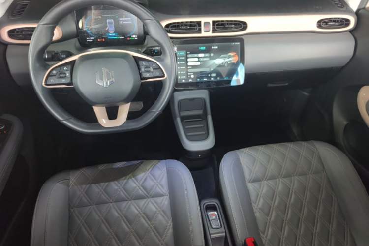 Used Leapmotor T03 2021 400 Luxury Pro Edition Center Console