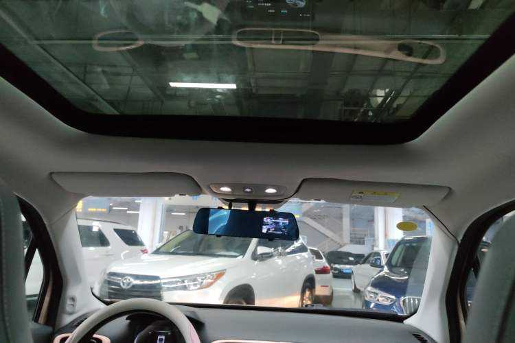 Used Leapmotor T03 2021 400 Comfort Edition Headliner