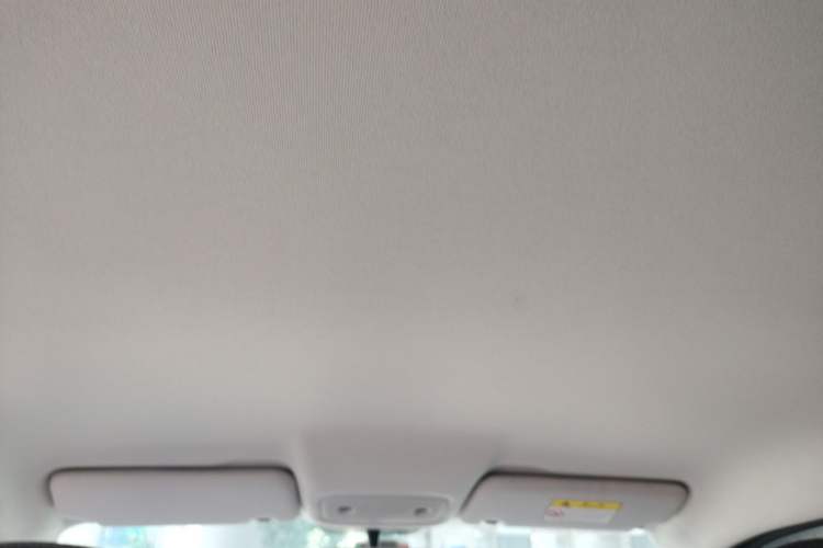 Used Leapmotor T03 2021 400 Micro-Sugar Version Headliner