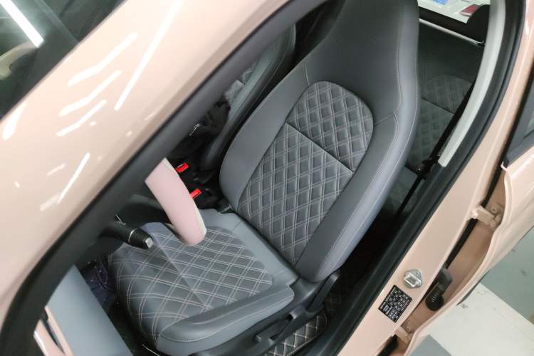 Used Leapmotor T03 2021 400 Comfort Edition Left Front Seat