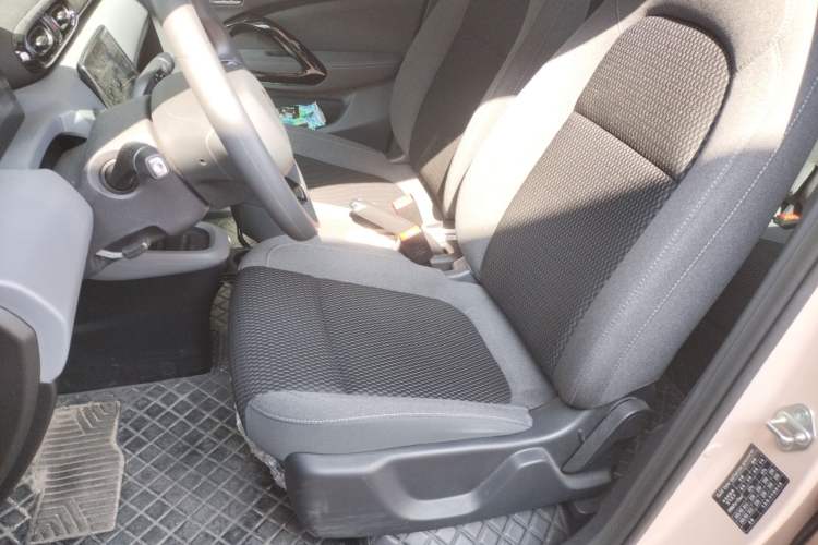 Used Leapmotor T03 2021 400 Micro-Sugar Version Left Front Seat