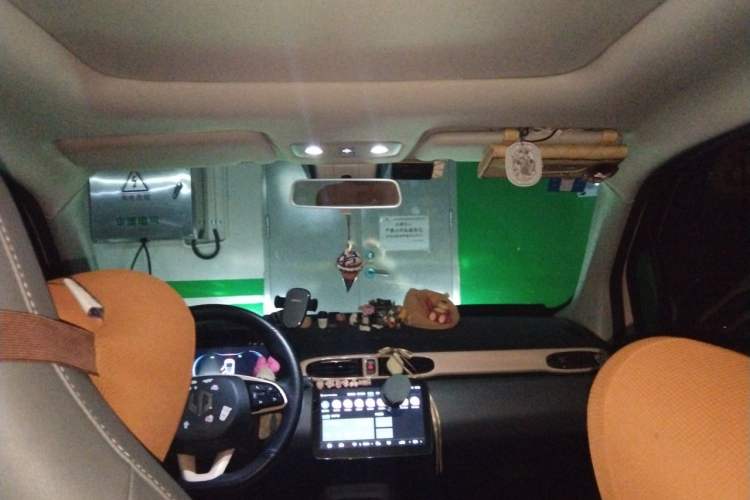 Used Leapmotor T03 2021 400 Luxury Edition Headliner