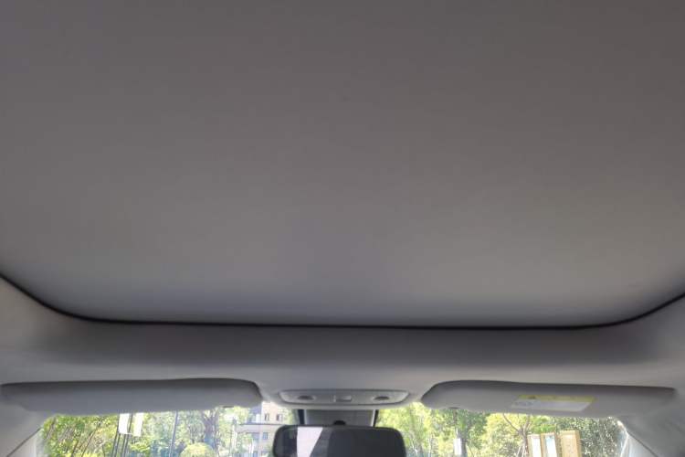 Used Leapmotor T03 2021 400 Luxury Pro Edition Headliner
