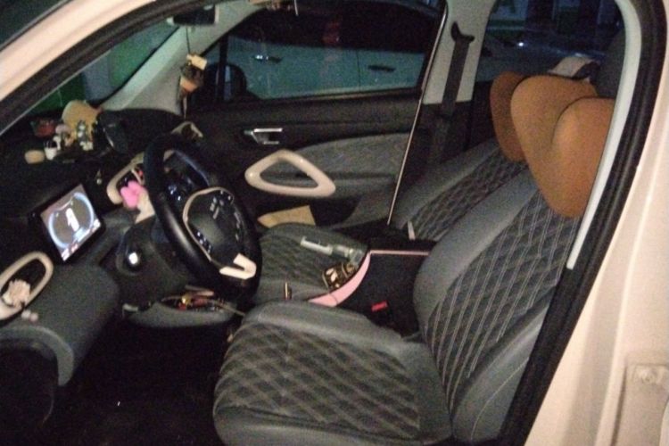 Used Leapmotor T03 2021 400 Luxury Edition Left Front Seat
